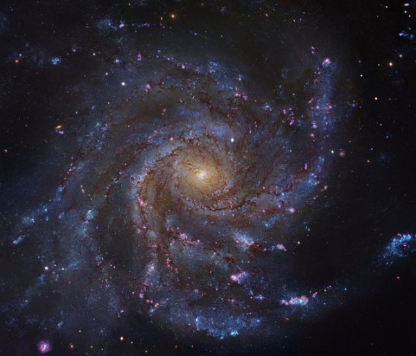 Галактика вертушка м 101