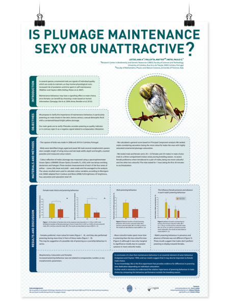 Научный Постер шаблон