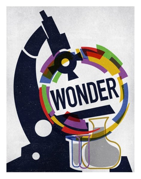 Wonder of Wonder Art