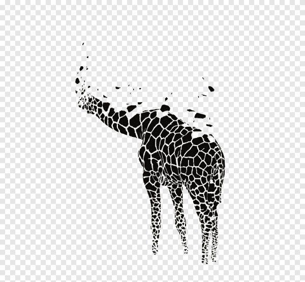 Плакаты современная Графика