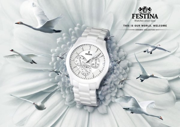 Наручные часы Festina f16530/1
