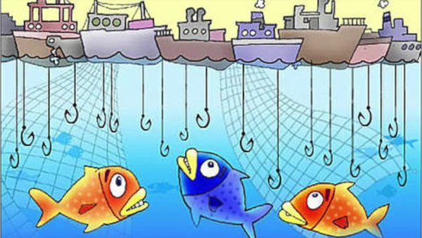 Плакат защита рыб