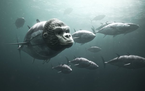 Креативная реклама рыбы