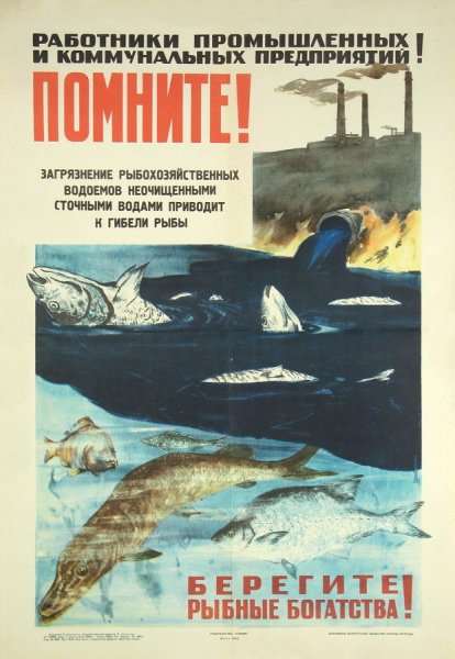 Берегите рыб