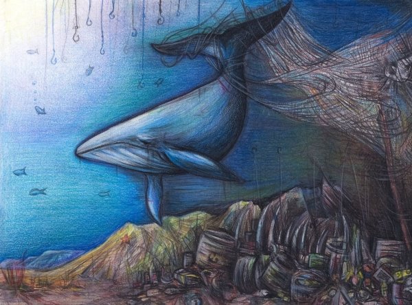 Рисунок по экологии кит
