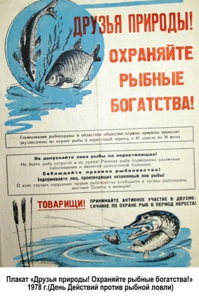 День действий против рыбной ловли