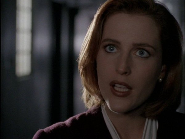 Джиллиан Андерсен (дана Скалли)