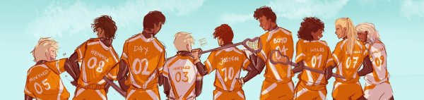 Команда Пальметто лисы