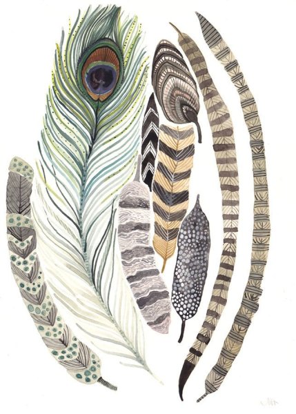 Перья индейца