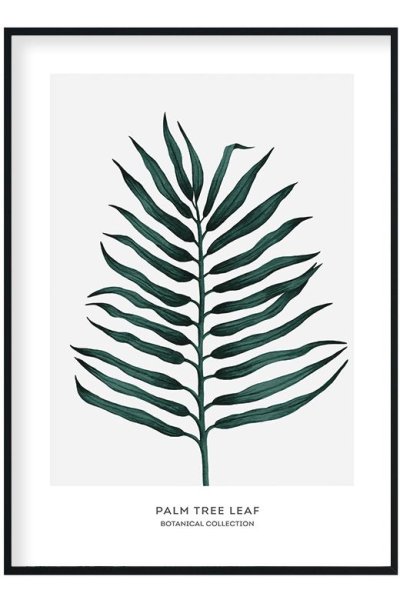 Постеры с растениями в скандинавском стиле для печати