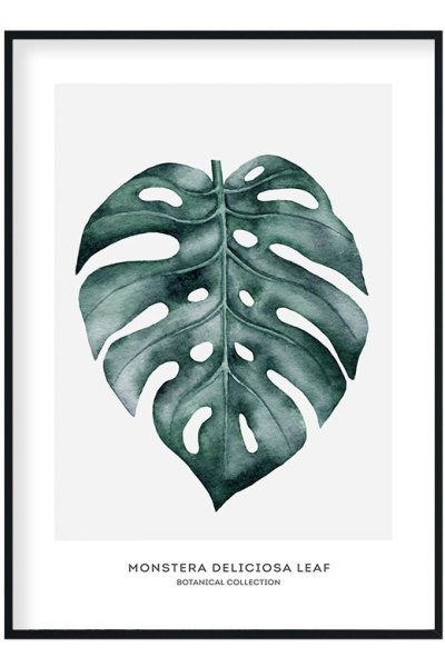 Монстера Постер в скандинавском стиле