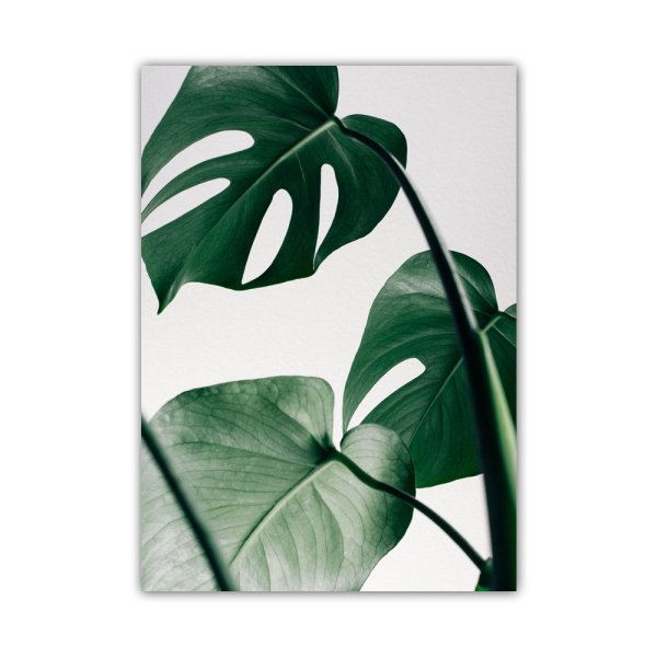 Картина зеленый лист