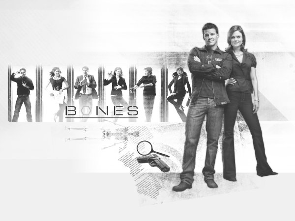 Сериал кости арты
