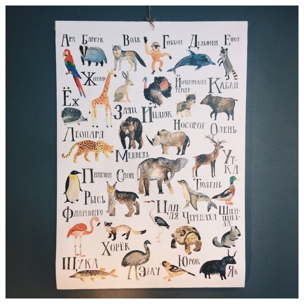 Алфавит настенный плакат