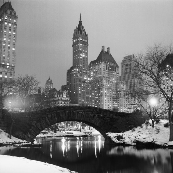 Центральный парк Нью Йорка чб