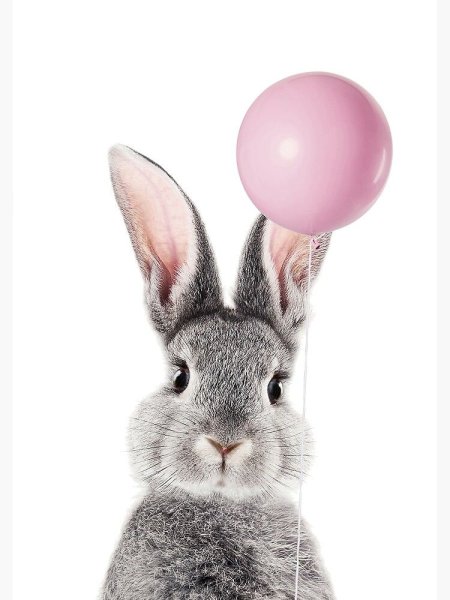 Банни рэббит