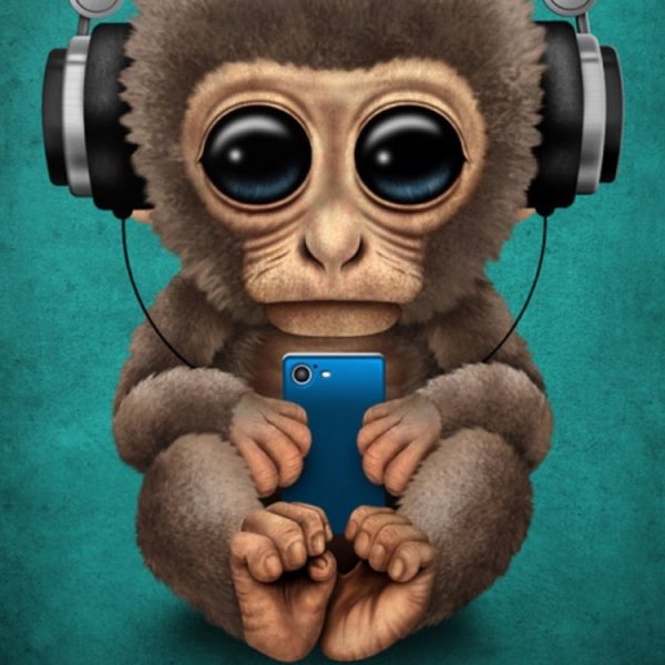 Картина обезьяна с наушниками