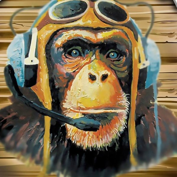 Шимпанзе в наушниках