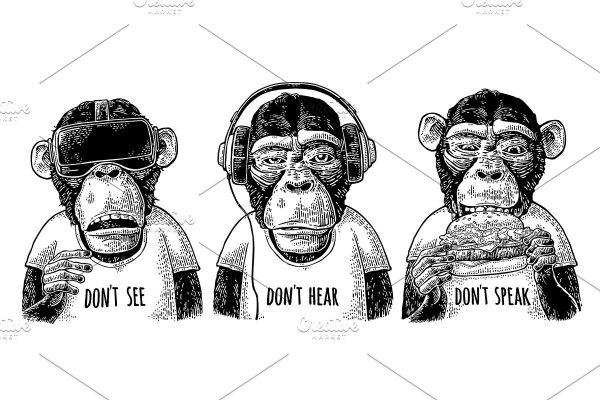 Наклейка на стену обезьяна