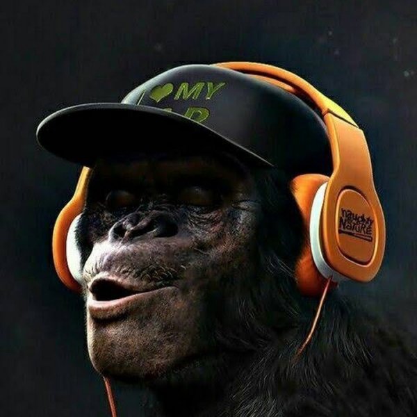 Забавные постеры для интерьера