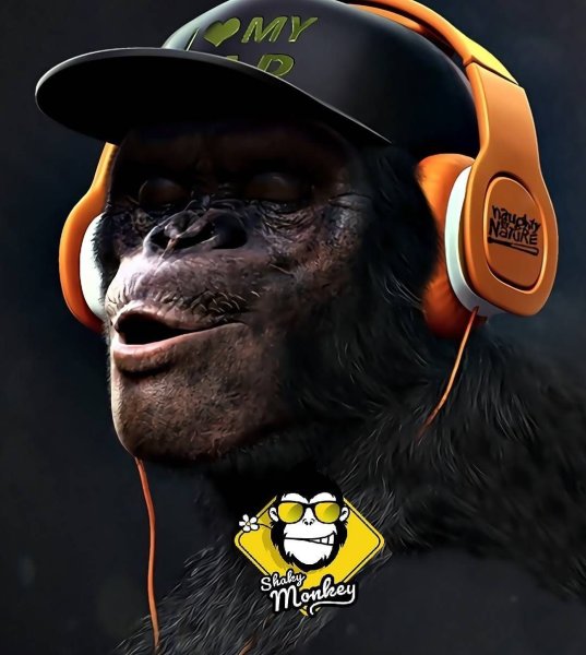 Постер обезьяны