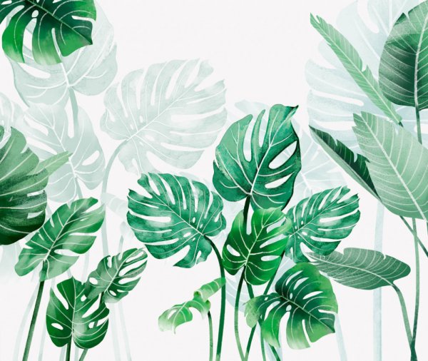 Тропические листья монстеры