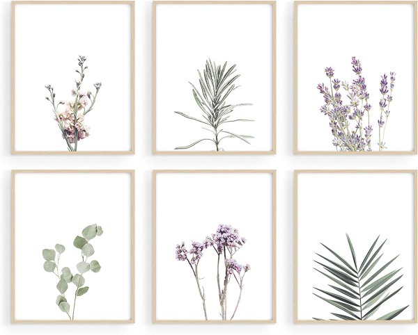 Красивые постеры с растениями отдельно