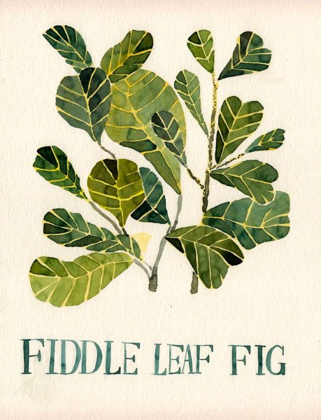 Сканди постеры с растениями