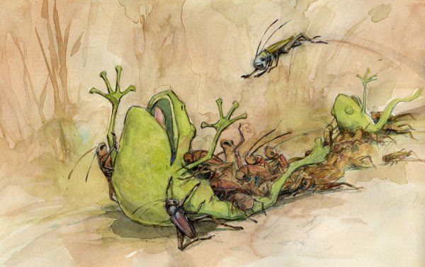 Композиция с жуками