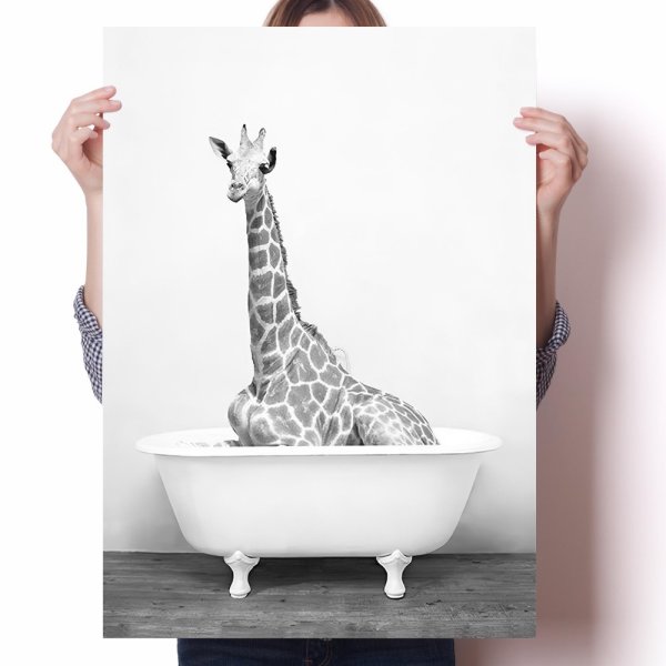 Постеры для ванной комнаты