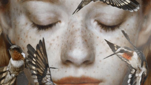 Энн Ширли Нетфликс