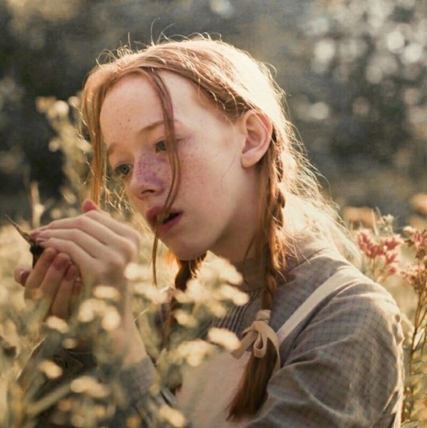 Энн с двумя н Диана и Энн