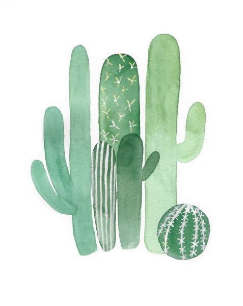 Стилизация кактуса