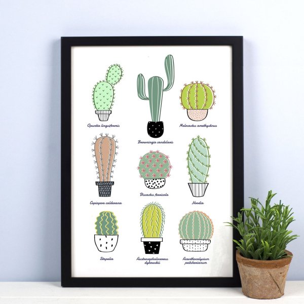 Кактусы в скандинавском стиле