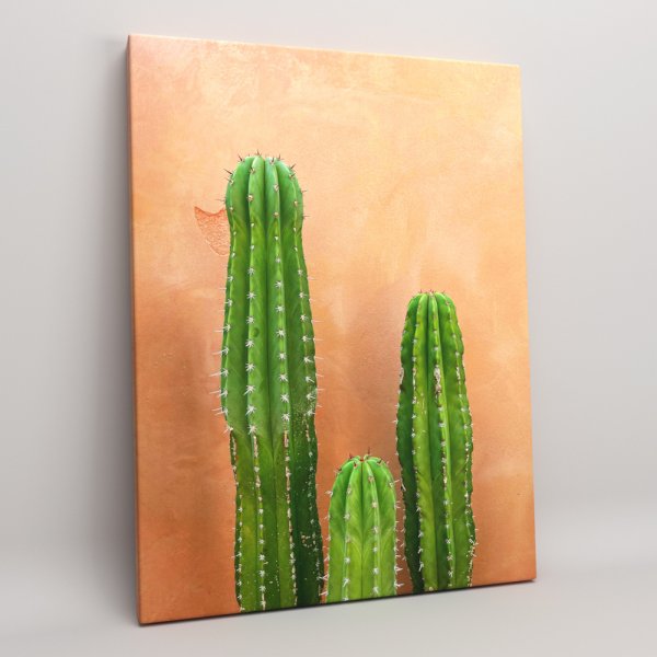 Картина из кактусов