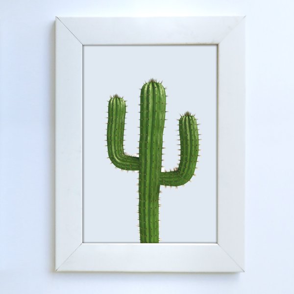 Постер Кактус