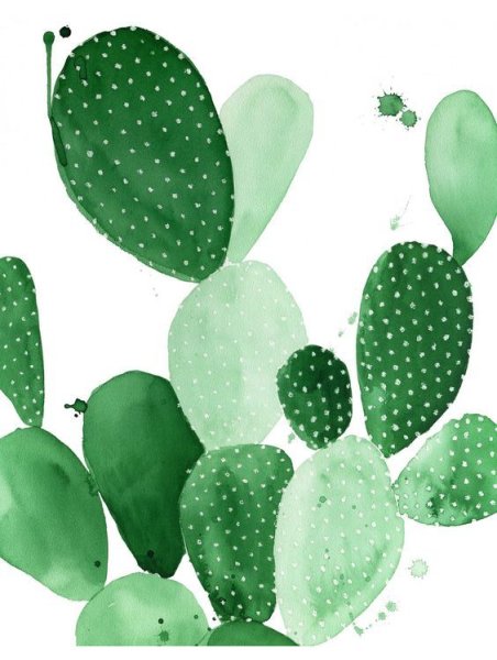 Постеры с кактусами для печати