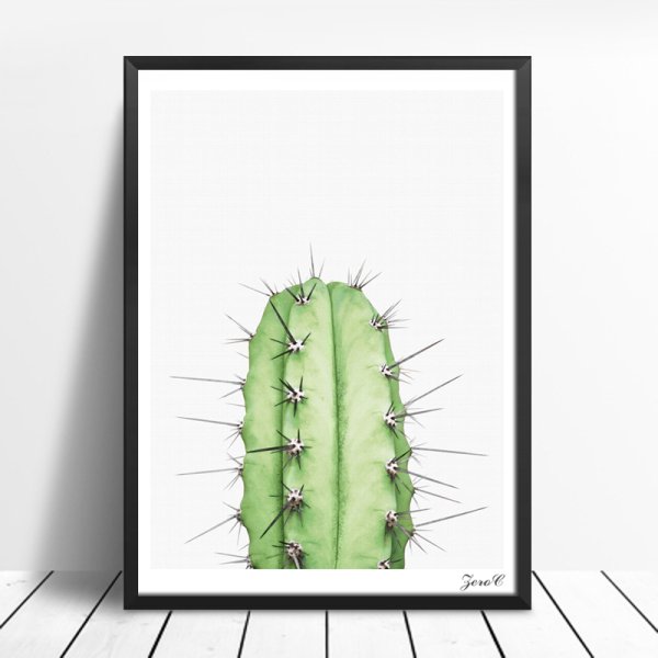 Плакаты с кактусами