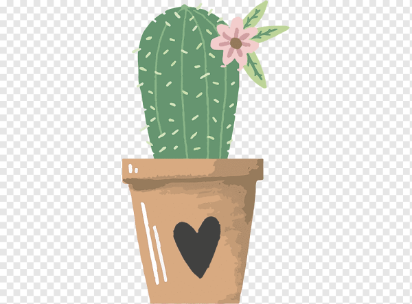 Интерьерный Постер Кактус