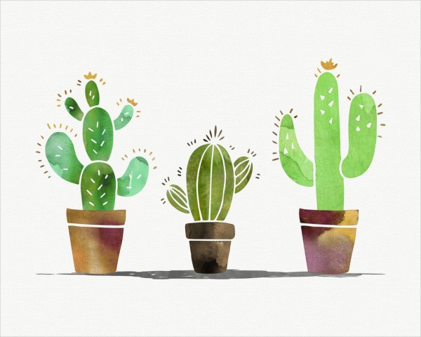 Постер Кактус