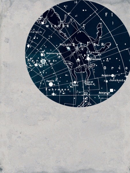 Волопас гевелий