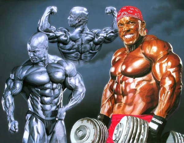 Постер бодибилдинг Шон Рей