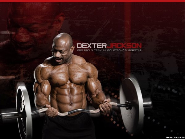 Декстер Джексон подъем штанги на бицепс