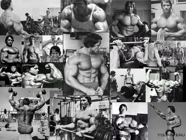 Шварценеггер и Джо Вейдер