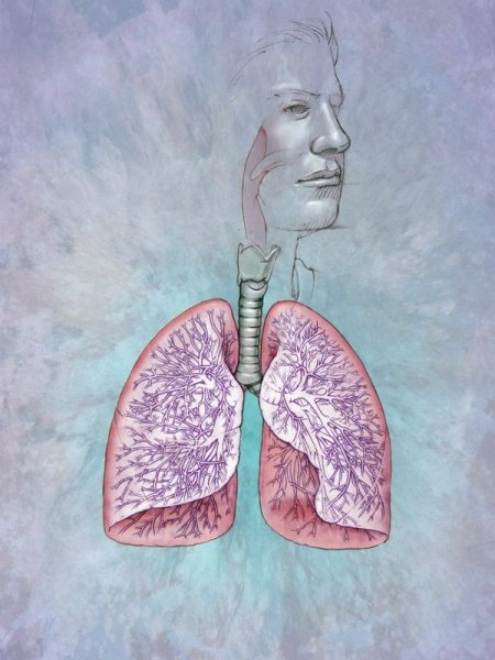 Здоровый образ жизни рисунок