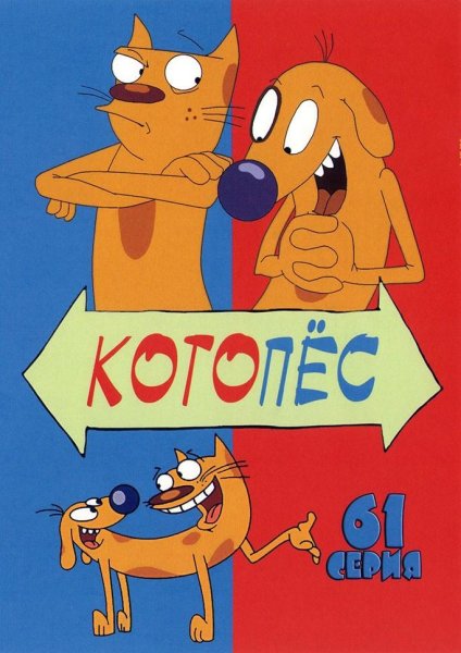 Котопес день рождения