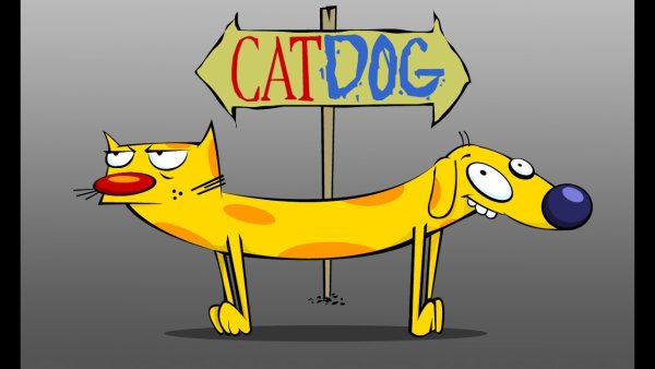 Котопес мультсериал