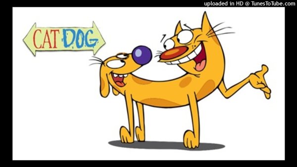 Родился Котопес