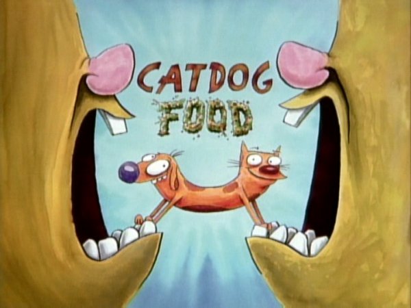 Котопес картинки