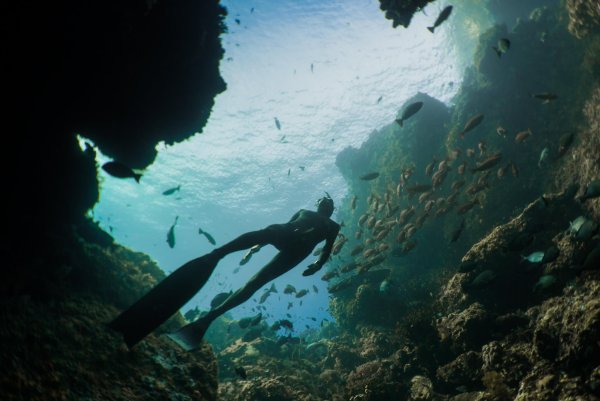 Красивый фридайвер